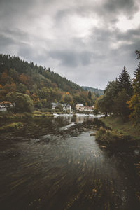 Scenic view of river amidst trees against sky