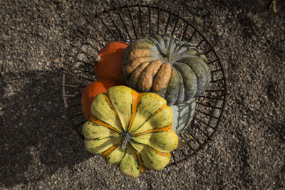 High angle view of pumpkin on wood