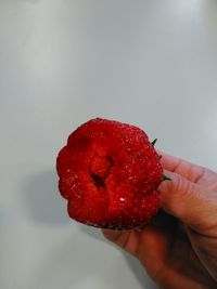 Close-up of hand holding strawberry over white background