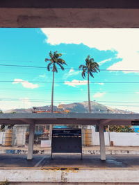 Palm trees by sea against blue sky