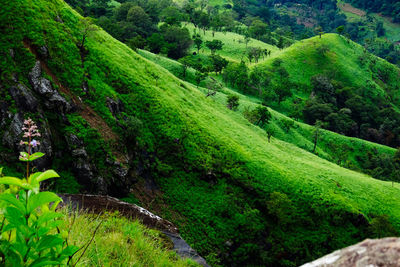 At the top of the tea plantation in ella, sri lanka you get a view across the valley.