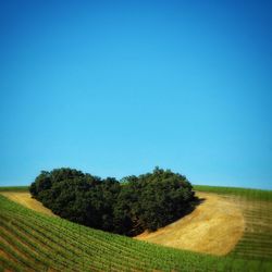 Scenic view of field against clear blue sky