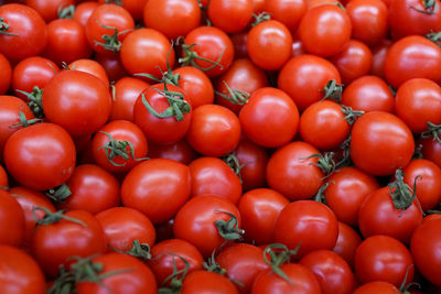 Delicious red tomatoes. summer tray market agriculture farm full of organic vegetables
