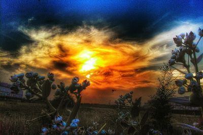 Scenic view of sky at sunset