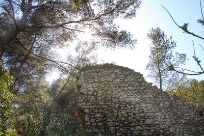 Low angle view of old building