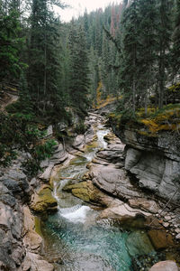 Stream flowing through rocks in forest