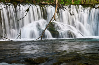 Scenic view of waterfall in forest