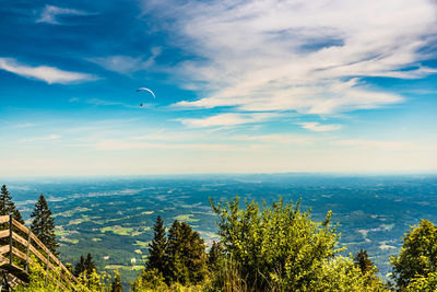 Scenic view of trees and plants against sky