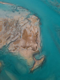 Coastal landscape in patagonia.