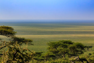 Scenic view of sea against clear sky