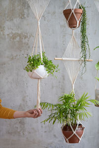 Woman gardener holding macrame plant hanger with houseplant over grey wall. hobby, love of plants