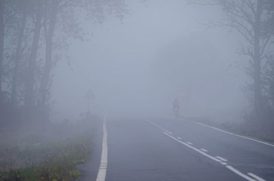 Empty road along trees