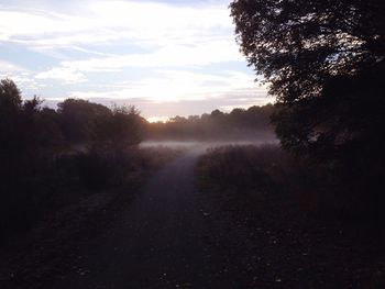 Road passing through forest