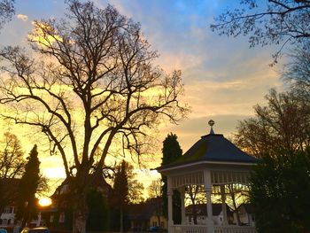 Low angle view of bare trees against sky