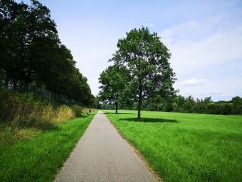 Road amidst trees on field against sky