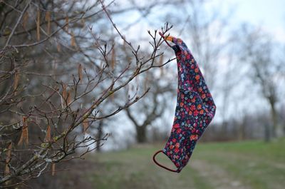 Handmade cloth mask hanging from a branch on bare tree