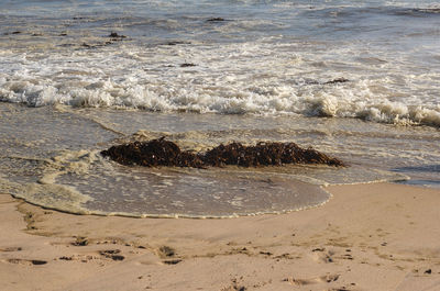 Scenic view of beach