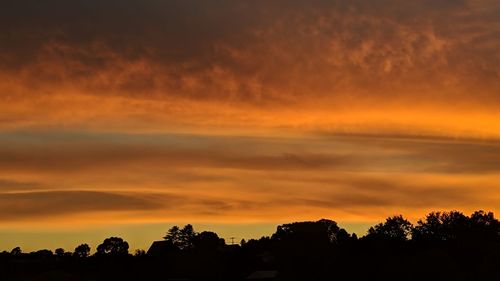 Silhouette trees against dramatic sky during sunset