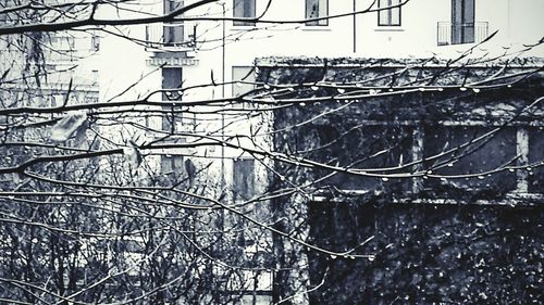 Low angle view of bare trees