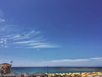 Birds flying over sea against blue sky