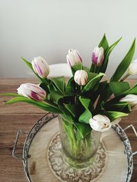 Close-up of potted plant on table