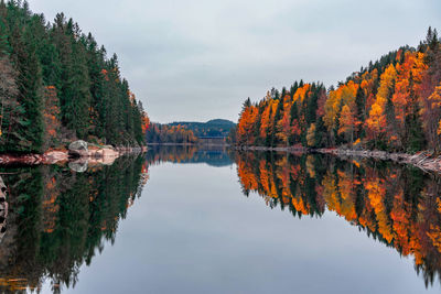 Reflection of trees in lake against sky during autumn