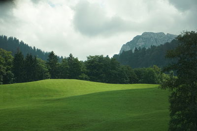 Scenic view of golf course against sky