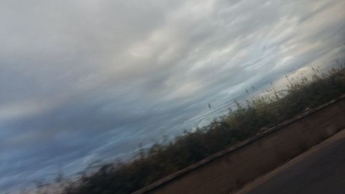 Scenic view of trees against sky