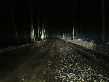 Road passing through forest