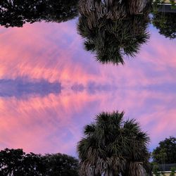 Silhouette palm trees against sky during sunset