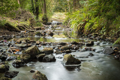 Stream flowing through rocks in forest