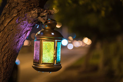 Ramadan lantern hanging on the tree. 