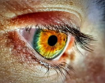 Close-up portrait of human eye