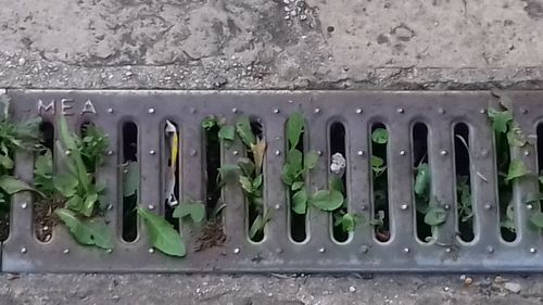 High angle view of water drops on wall