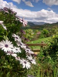 Scenic view of mountain against sky