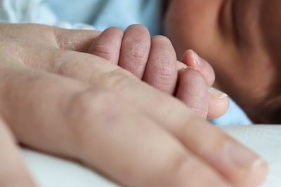 Cropped image of parent and baby with holding hands