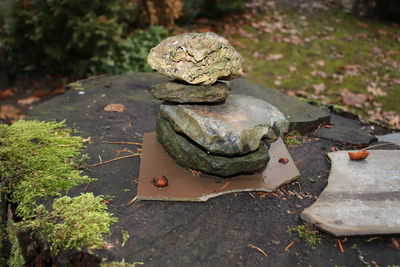 Close-up of old stack on rock