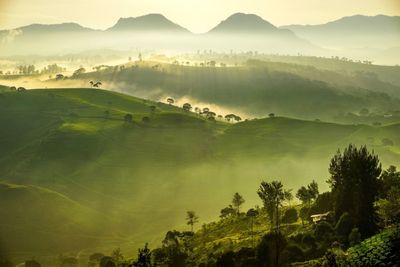 Scenic view of landscape against sky