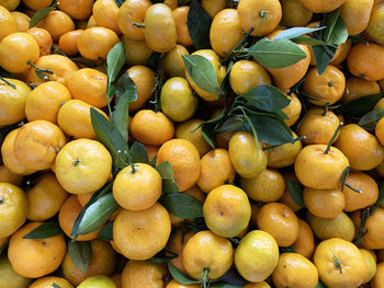 Arrangement of orange fruit in a box ready for sale