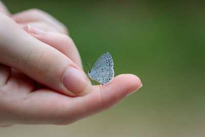 hand