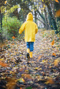 Rear view of boy wearing raincoat while walking on autumn leaves