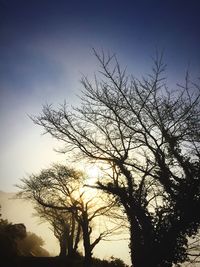 Low angle view of bare trees against sky