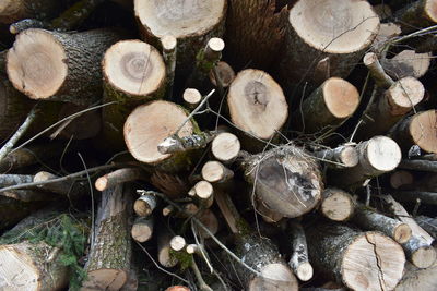 Stack of logs