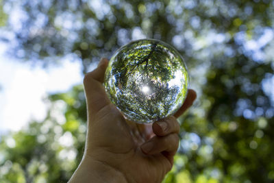 Close-up of hand holding crystal ball