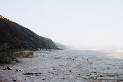 Scenic view of beach against clear sky