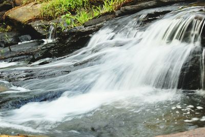 Scenic view of waterfall in forest