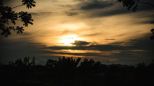 Silhouette trees against sky during sunset