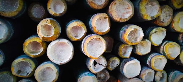 Full frame shot of logs in forest