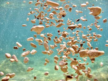 Underwater close-up of pebbles falling