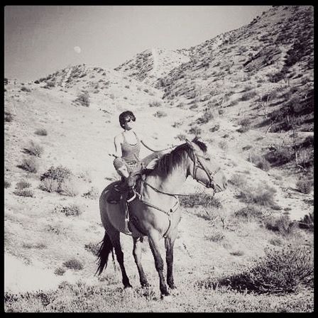 transfer print, animal themes, full length, sand, one animal, auto post production filter, domestic animals, horse, mammal, one person, nature, field, landscape, standing, mountain, working animal, beach, side view, day, sunlight